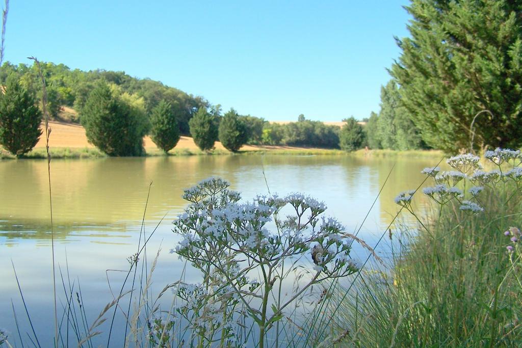 D'hotes Le Moulin D'encor